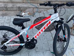 -道路口单车爱瓦士dahon大行