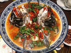 湘潭九龙鱼头-湘潭九龙鱼头店(城南西路店)