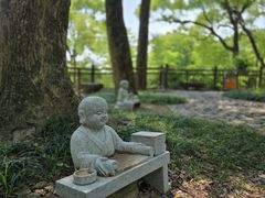 -东明山森林公园