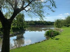 -春花秋色城市公园