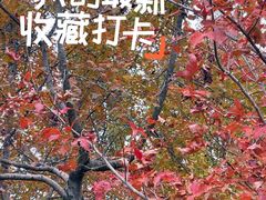 -福州大学(旗山校区)