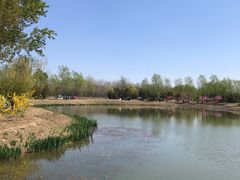 -东郊湿地公园