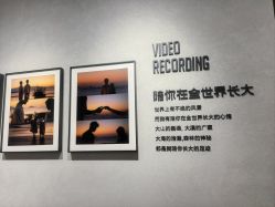 -大树儿童摄影