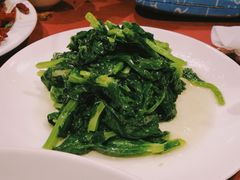 酒香豆苗-老吉士酒家(天平路店)