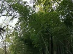 -兰亭风景区