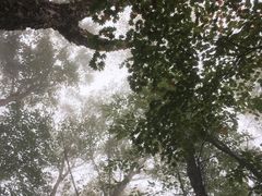 -三块石国家森林公园