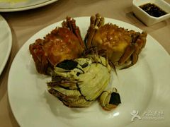 -王宝和酒家(黄浦店)