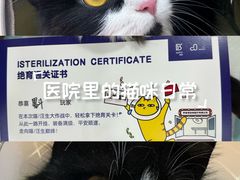 -拜鲁耶动物诊疗中心·宠家动物医院