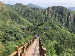 -大岭沟猕猴桃谷风景区