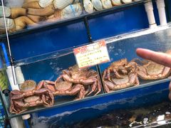 -蚝专家(北滘店)