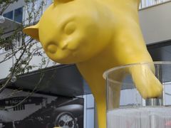 -深圳湾万象城(南山店)