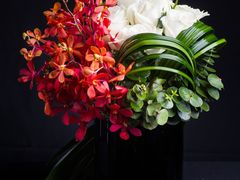 -东方大班·足道·采耳·疗愈SPA(丽都店)
