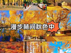 -北海公园