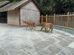 -金沙遗址博物馆