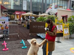 -OCT PARK欢乐时光