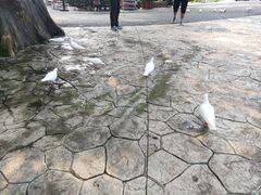 -燕塞湖鸟语林景区