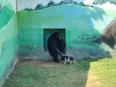 -西霞口神雕山野生动物世界