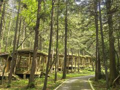 -武陵山森林公园