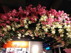 -沪小胖小龙虾(淮海中路旗舰店)