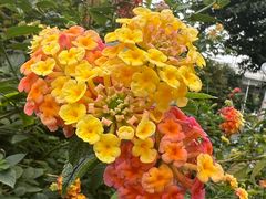 -人民公园(罗湖区)