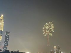 -深圳湾公园(南山区)