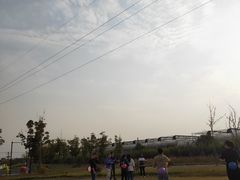 -菊园百果园