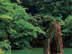 -青城山