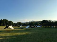 -福建鲤鱼洲酒店