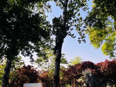-莲花池公园