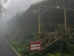 -武陵山森林公园