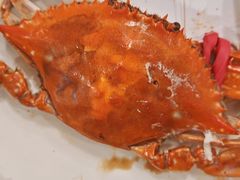 -蓝珊甄选海鲜自助·火锅大排档(近阿那亚店)
