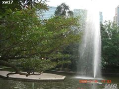 -九龙公园