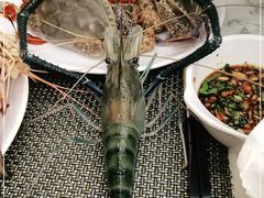 -澜悦港海鲜体验主题餐厅