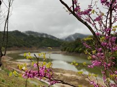 -婺源梦里老家大型山水实景演出