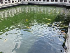 -惠州西湖丰渚园