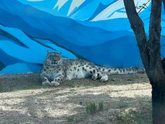-青藏高原野生动物园
