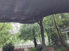 -成都市活水公园