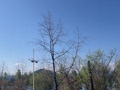 -宝荣鱼馆·临湖之宴(千岛湖店)