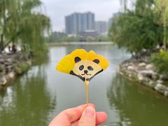 -盛捷游泳·潜水·高尔夫培训(凯德广场店)