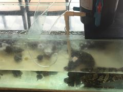 -泰华海鲜中餐厅(普吉镇店)