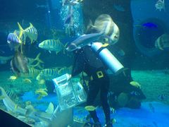 -北戴河圣蓝海洋公园