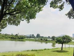 -松山湖风景区松湖烟雨