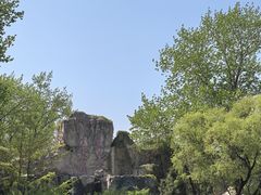 -秦皇岛野生动物园