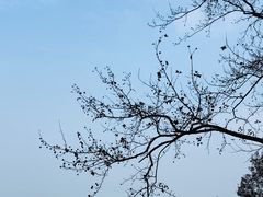 -广州市石门国家森林公园