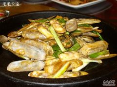蛏子-新南华大酒店(长寿店)