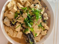 -煲来饱去冷水鱼