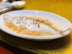 -苏州太湖湖滨国家湿地公园