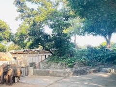 -深圳野生动物园
