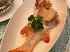 东星斑-誉珑轩