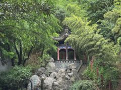 -西安曲江寒窑遗址公园